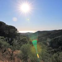 Land plot in Greece, Ionian Islands