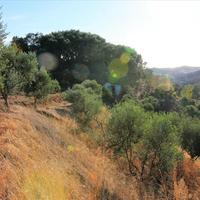 Land plot in Greece, Ionian Islands