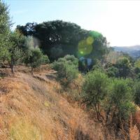 Land plot in Greece, Ionian Islands