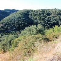 Land plot in Greece, Ionian Islands