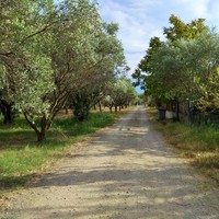 Отель (гостиница) в Греции, Центральная Македония, Центр, 850 кв.м.