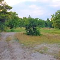 Land plot in Greece, Central Macedonia, Center