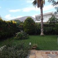 Другое в Греции, Аттика, Афины, 306 кв.м.