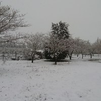 Other in Greece, Central Macedonia, Center, 410 sq.m.