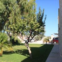 Вилла в Греции, Крит, Ханья, 400 кв.м.