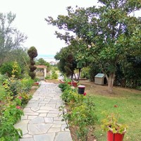 Other in Greece, Central Macedonia, Center, 400 sq.m.