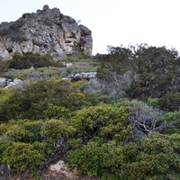 Land plot in Greece, Crete