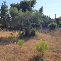 Land plot in Greece, Central Macedonia, Center