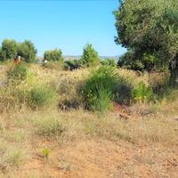 Land plot in Greece, Central Macedonia, Center
