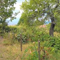 Земельный участок в Греции, Центральная Македония, Центр