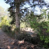 Land plot in Greece, Ionian Islands