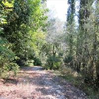 Land plot in Greece, Ionian Islands