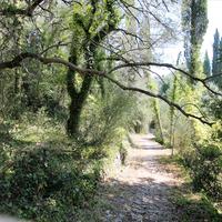 Land plot in Greece, Ionian Islands