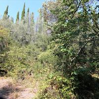 Land plot in Greece, Ionian Islands