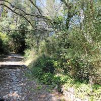 Land plot in Greece, Ionian Islands