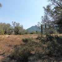 Land plot in Greece, Ionian Islands