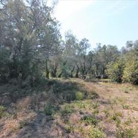 Land plot in Greece, Ionian Islands