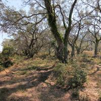 Land plot in Greece, Ionian Islands