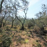 Land plot in Greece, Ionian Islands