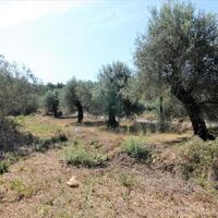 Land plot in Greece, Ionian Islands