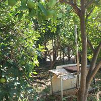 Other in Greece, Crete, Chania, 65 sq.m.