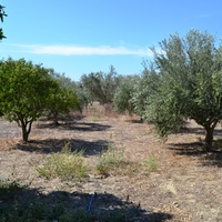 Other in Greece, Crete, Irakleion, 60 sq.m.