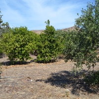 Other in Greece, Crete, Irakleion, 60 sq.m.