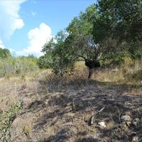 Земельный участок в Греции, Ионические острова