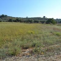 Земельный участок в Греции, Центральная Македония, Центр, 7700 кв.м.