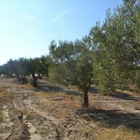 Land plot in Greece, Central Macedonia, Center, 3300 sq.m.