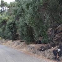 Land plot in Greece, Ionian Islands