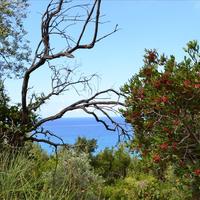 Land plot in Greece, Ionian Islands