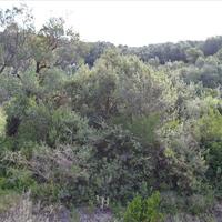 Land plot in Greece, Ionian Islands