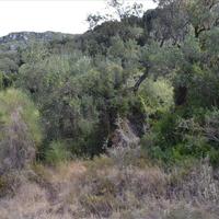 Land plot in Greece, Ionian Islands