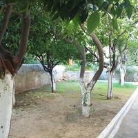 Villa in Greece, Crete, Chania, 300 sq.m.