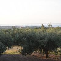 Other in Greece, Central Macedonia, Center, 184 sq.m.