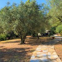 Other in Greece, Central Macedonia, Center, 200 sq.m.