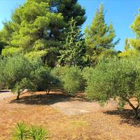 Other in Greece, Central Macedonia, Center, 200 sq.m.