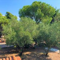 Other in Greece, Central Macedonia, Center, 200 sq.m.