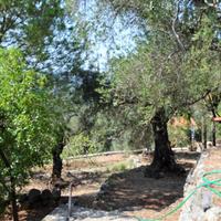 Other in Greece, Ionian Islands, 200 sq.m.