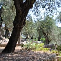 Other in Greece, Ionian Islands, 200 sq.m.