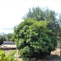 Other in Greece, Ionian Islands, 200 sq.m.