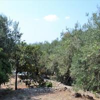 Other in Greece, Ionian Islands, 200 sq.m.