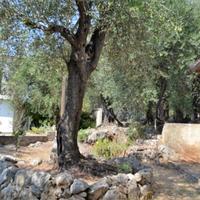 Other in Greece, Ionian Islands, 200 sq.m.