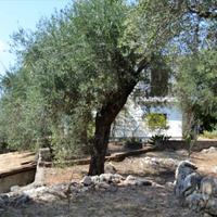 Other in Greece, Ionian Islands, 200 sq.m.
