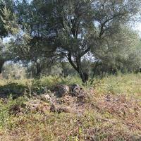 Land plot in Greece, Ammochostou, Famagusta