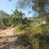 Land plot in Greece, Ammochostou, Famagusta