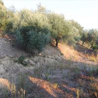 Other in Greece, Ionian Islands, 250 sq.m.