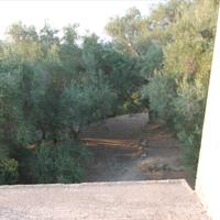 Other in Greece, Ionian Islands, 250 sq.m.