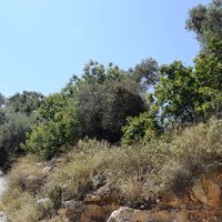 Land plot in Greece, Crete